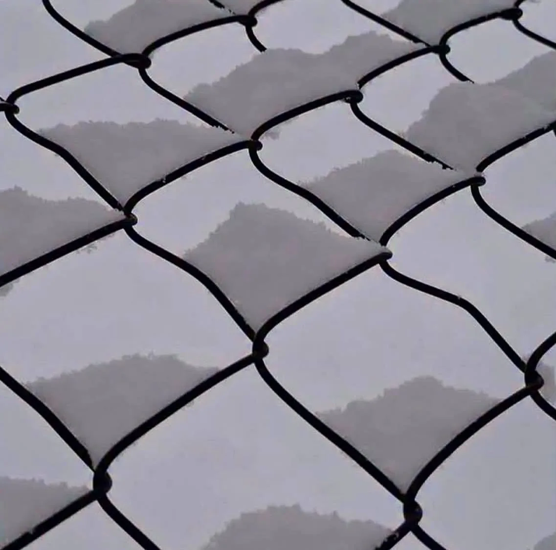 🫟 Сначала кажется, что это картинка из Paint.

А потом понимаешь, что это просто снег, который идеа