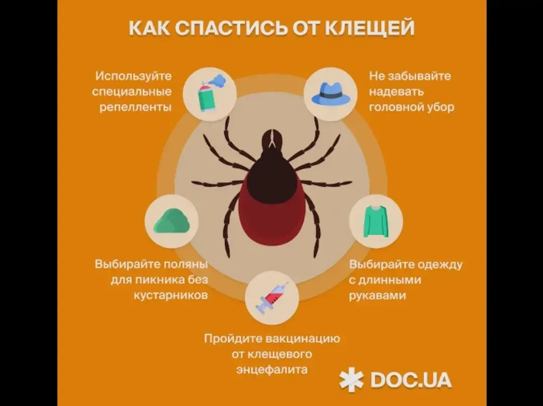 🦠 **Профилактические беседы «Осторожно, клещи» в МБДОУ детском саду №23** 🌳

В нашем детском саду 