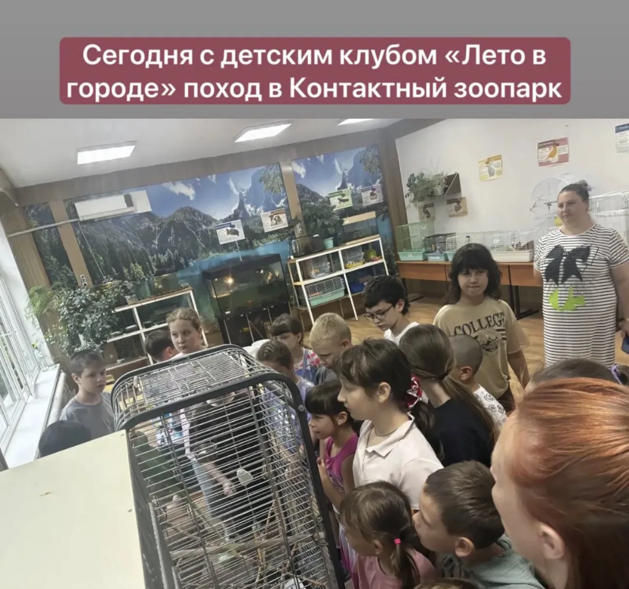 Утро в соляной пещере, перекус, поход в контактный зоопарк 
Программа летнего клуба насыщенная кажды
