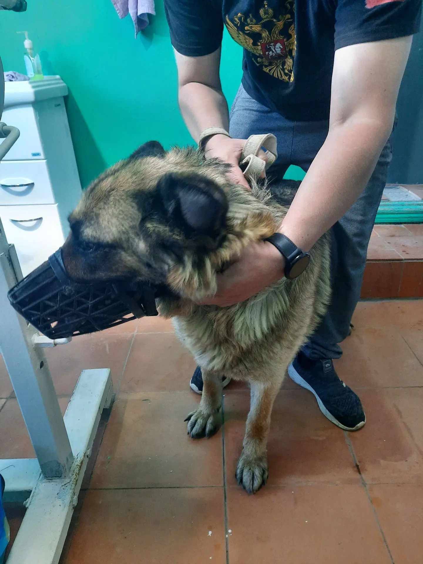 Помощь овчарке Альфе 🐶⁣
В ОГУ «Базарно-Карабулакская рай СББЖ» за помощью обратился владелец четырё