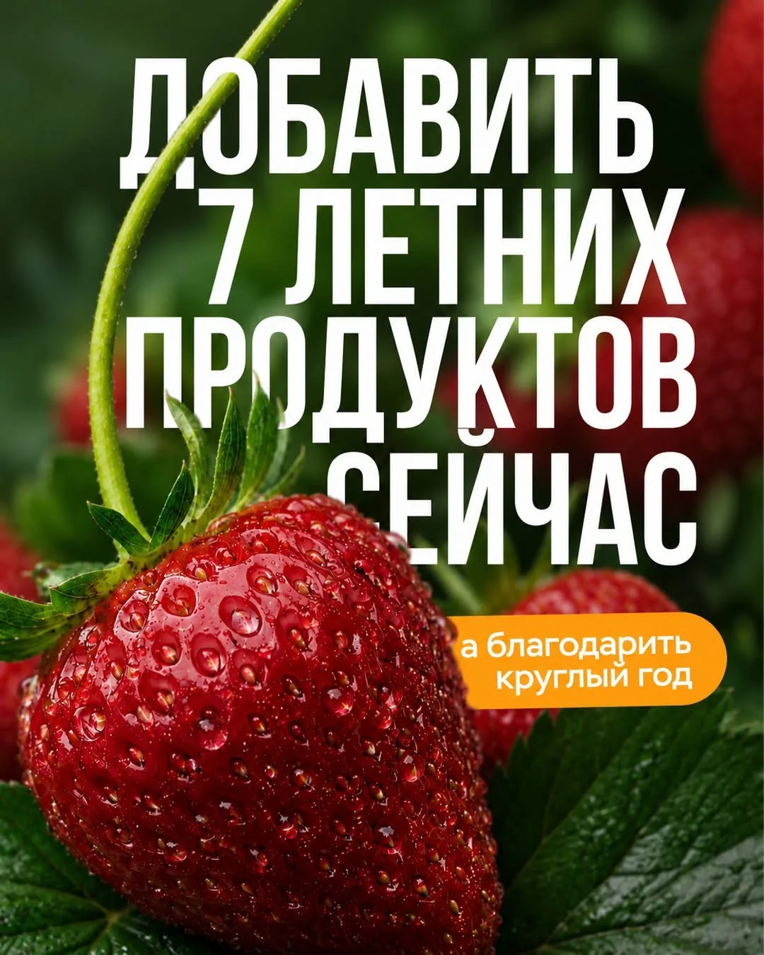 Летний рацион — вклад в здоровье на весь год 🍉

С наступлением тепла даже привычные овощи, ягоды и 