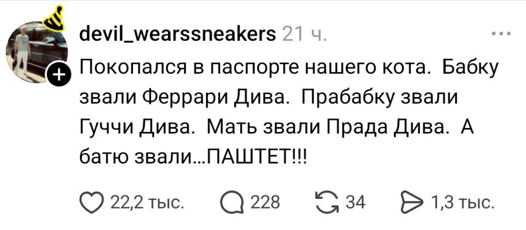 У него не родословная, а коллаборация Gucci × Ferrari × Prada × Паштет.

Сейчас в тренде