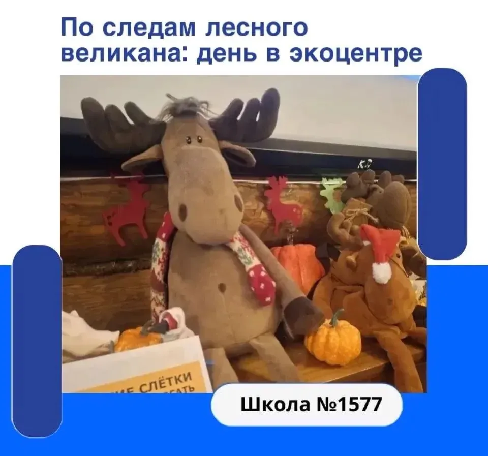 🦅Сегодня ребята из группы «Играй в Москву!» посетили Экоцентр.

Встреча в экоцентре «Лосиный остров