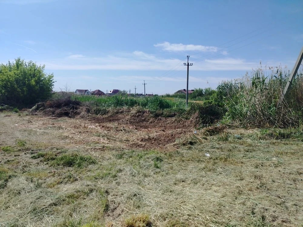 В рамках проведения противопожарных  мероприятий осуществлен покос травы и камыша вдоль домовладений