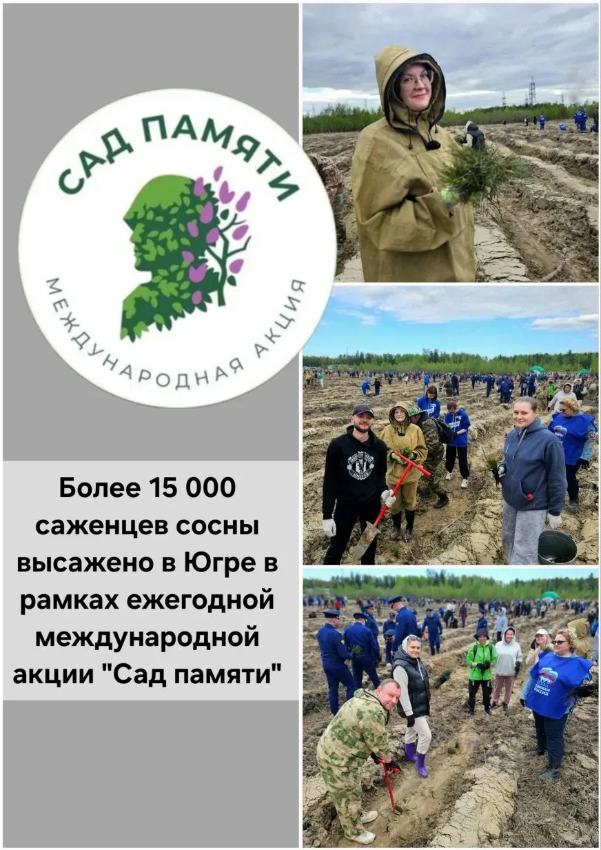 Работники БУ «Центр имущественных отношений» приняли активное участие в ежегодной международной акци