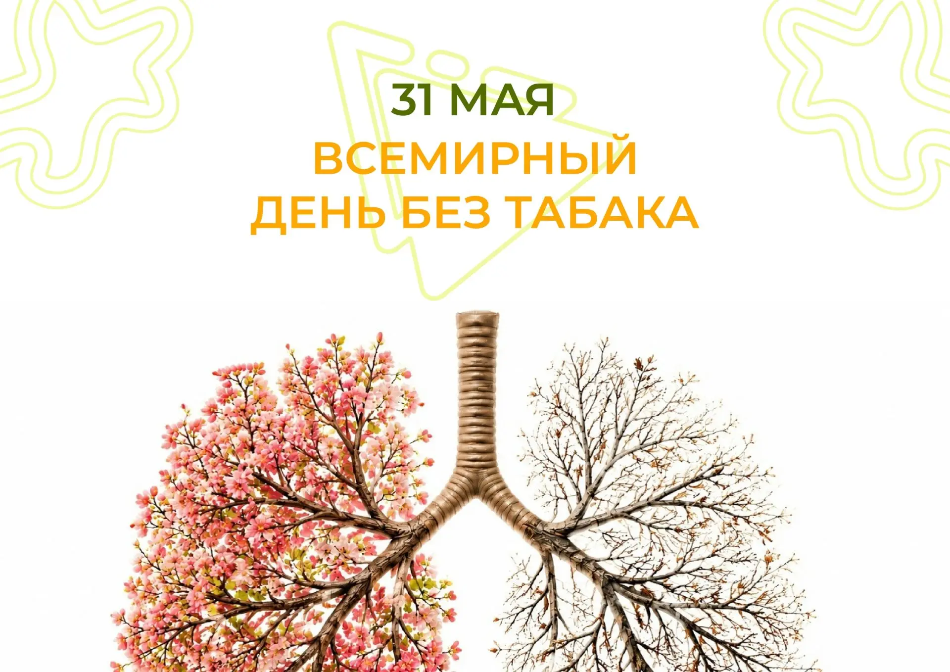 Ежегодно 31 мая отмечается Всемирный день без табака
Цель этого дня — привлечь внимание к табачной э