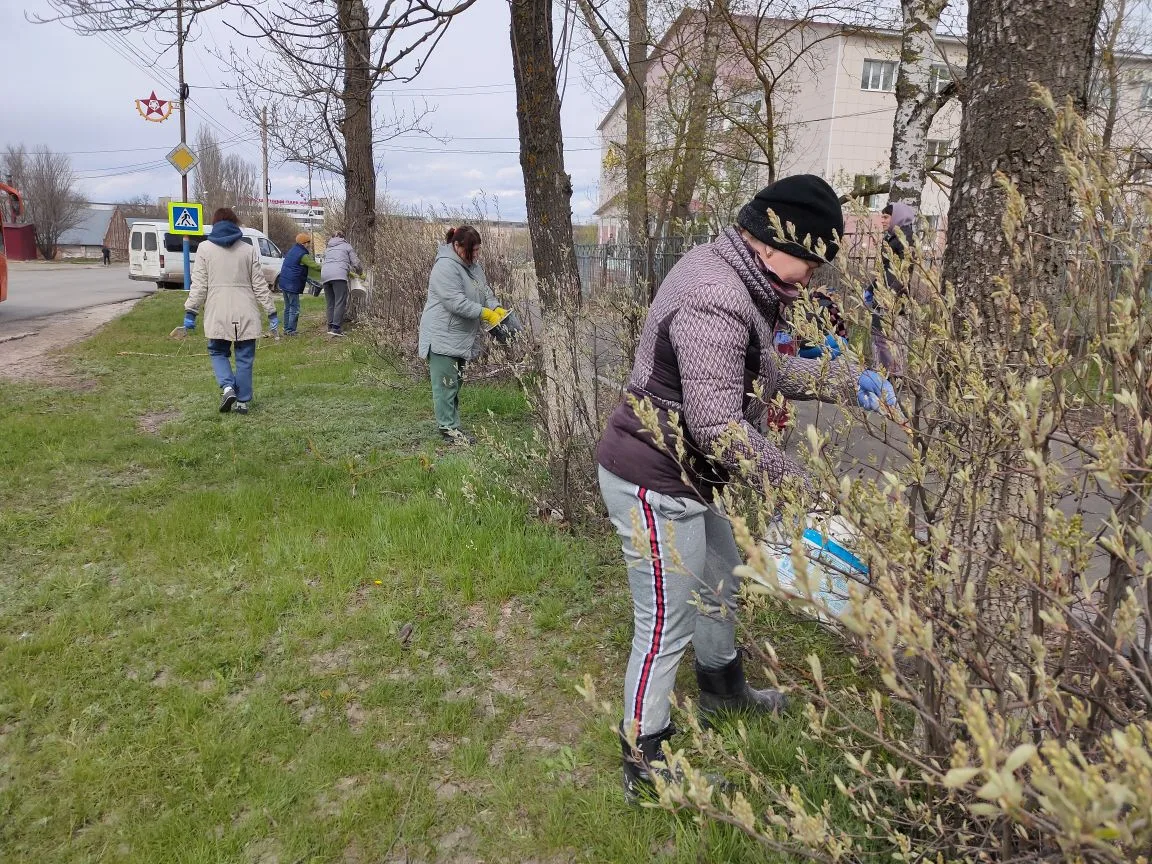 В рамках месячника по благоустройству территории города, МКП Водоканал принял участие в побелке дере