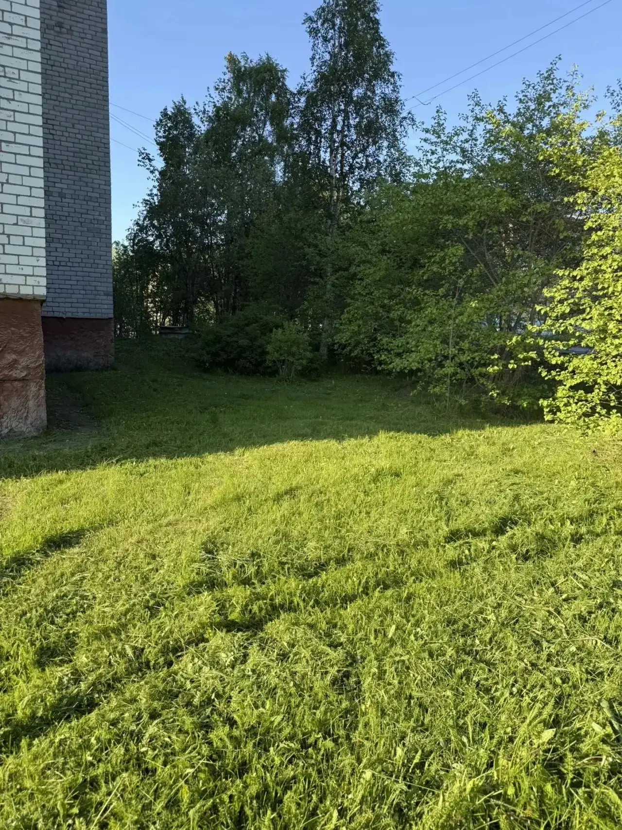 Продолжаем покос травы на наших придомовых территориях. С пятницы скосили следующие дворы:
 ☘️Первом