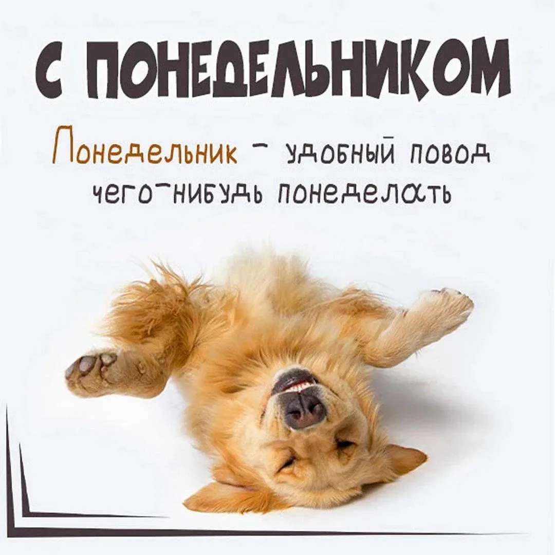 Доброе утро, ЧП!