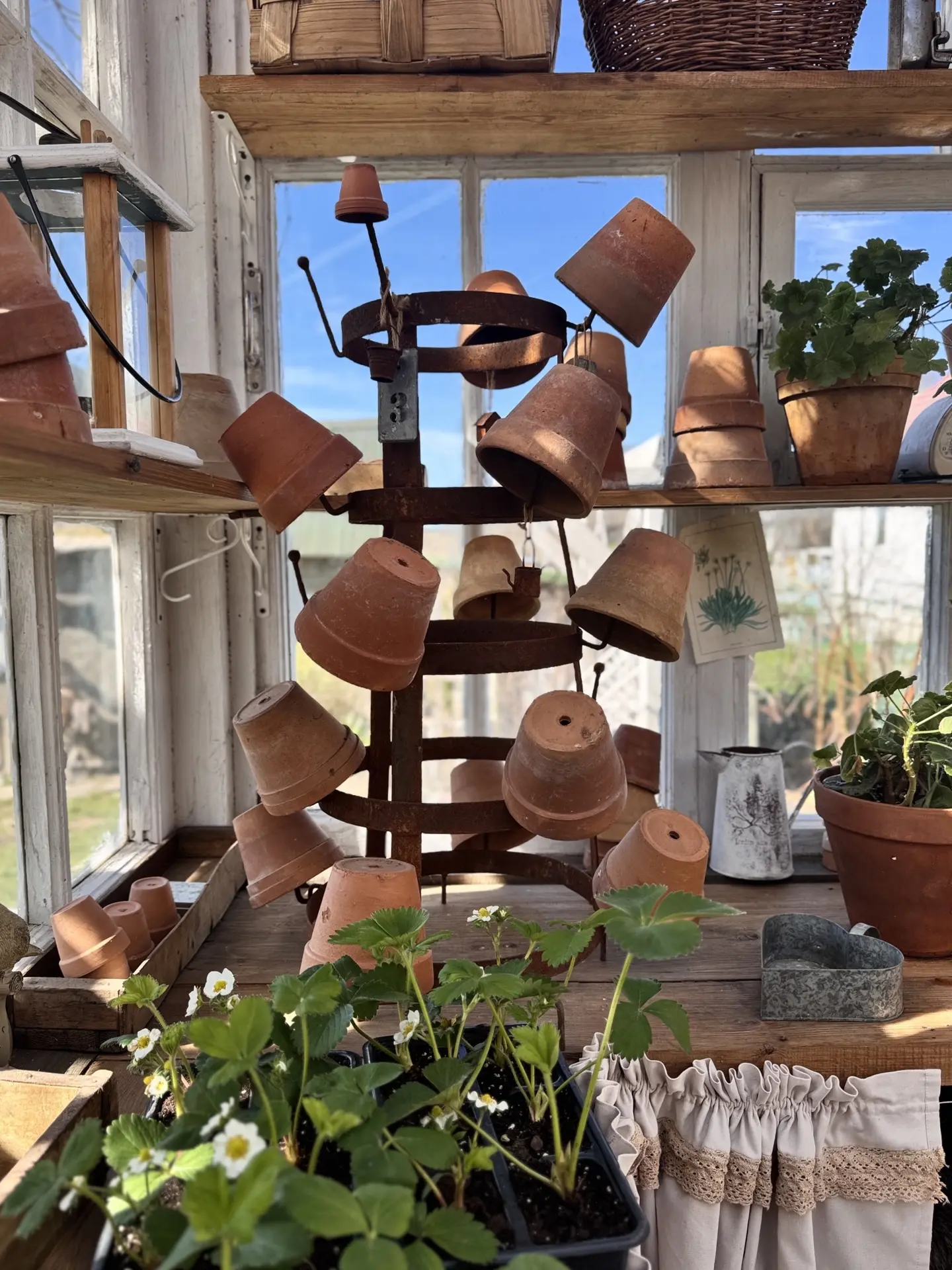 Мы вчера провели Первомай на даче🌱🕊️.
Делали грядку под клубнику🍓

А у вас как дела дачные? 
Откр