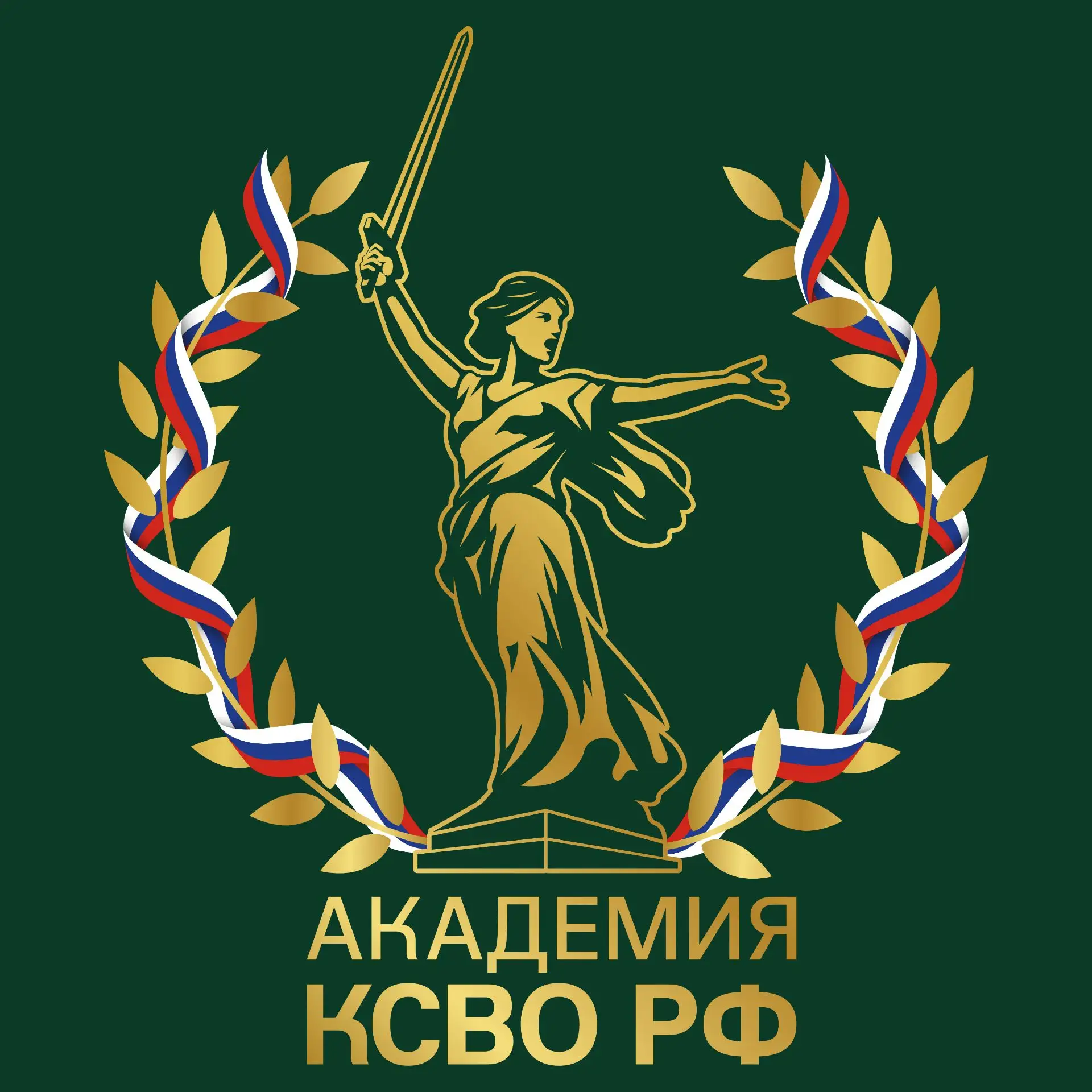 Стартовал уникальный проект Комитета семей воинов Отечества «Академия КСВО
РФ» — проектное обучение 
