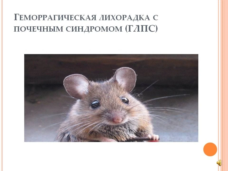 ГЛПС и меры ее профилактики. 
Межрегиональное управление №50 ФМБА России информирует горожан о том, 