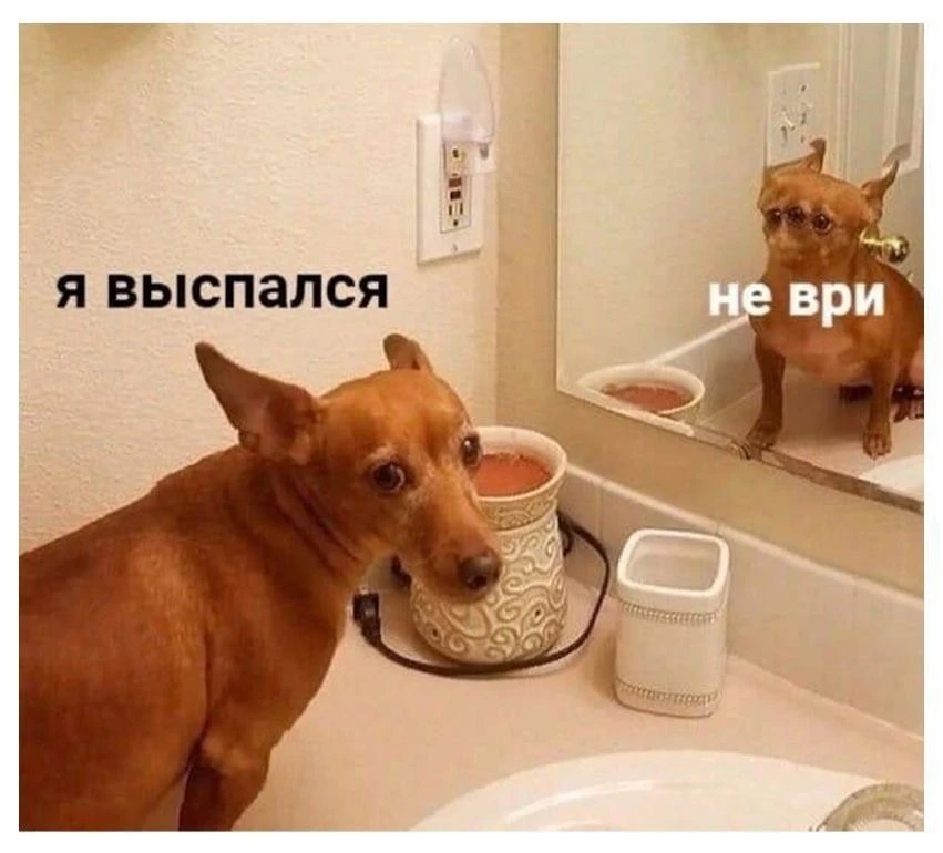 Эксперты в сфере психологии труда фиксируют парадоксальную закономерность: регулярные утренние приве