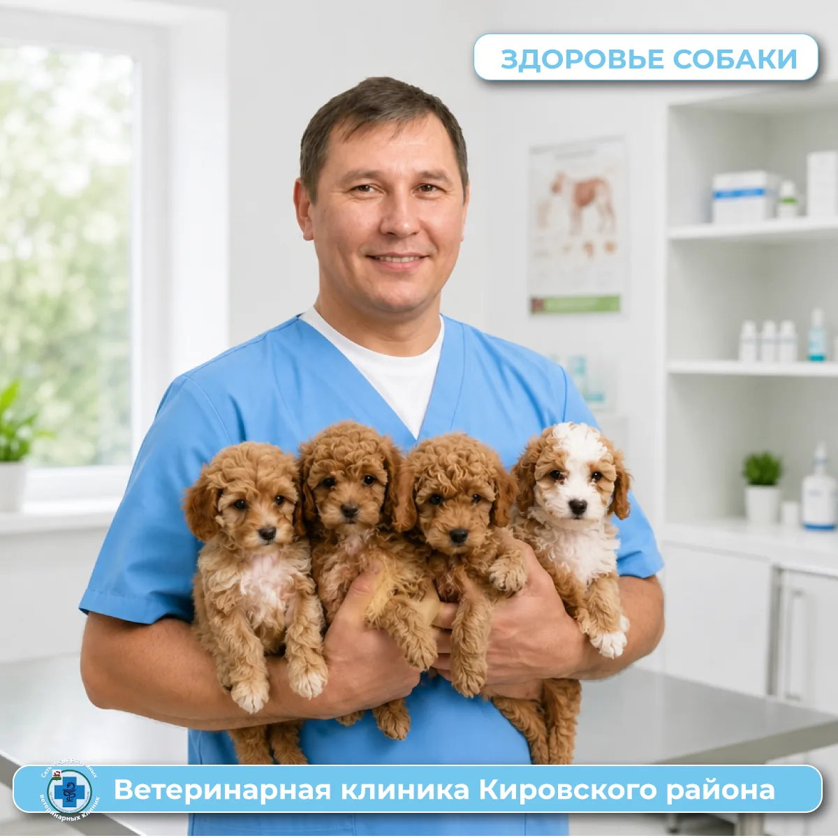 🐾 Первая вакцинация — первый шаг к здоровой жизни!
На днях в нашей клинике прошли первую вакцинацию