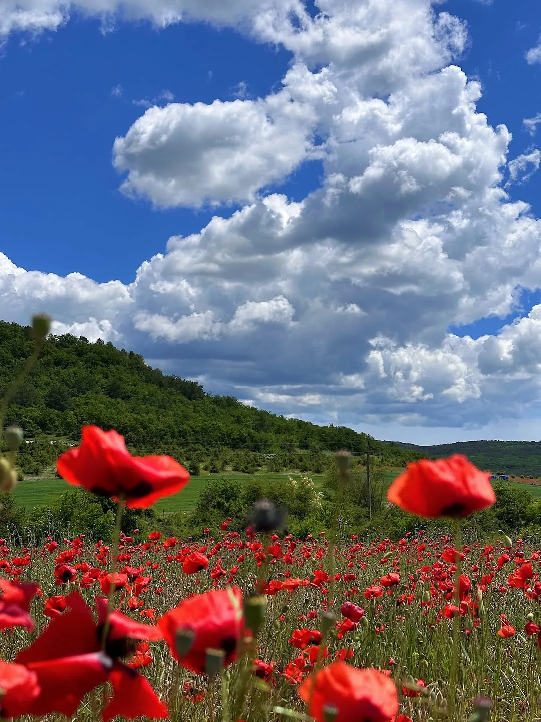 🏔️📸⛅️ 🌺 Весна в Крыму 📸🏔️🌺⛅️ Листайте 👉 Какое фото нравится вам больше 1,2,3... 10?

Благодар
