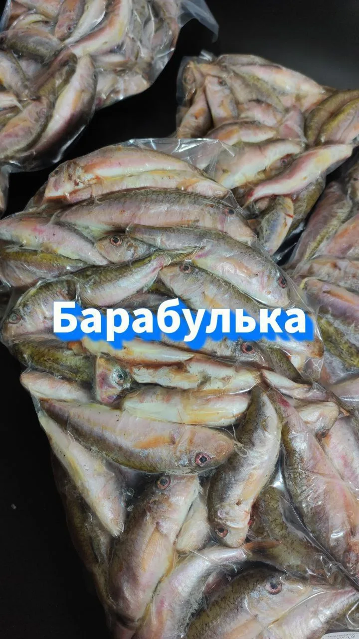 Барабулька черноморская вяленая и свежемороженая уже в продаже.
🛻 Теперь необязательно ехать на Чер