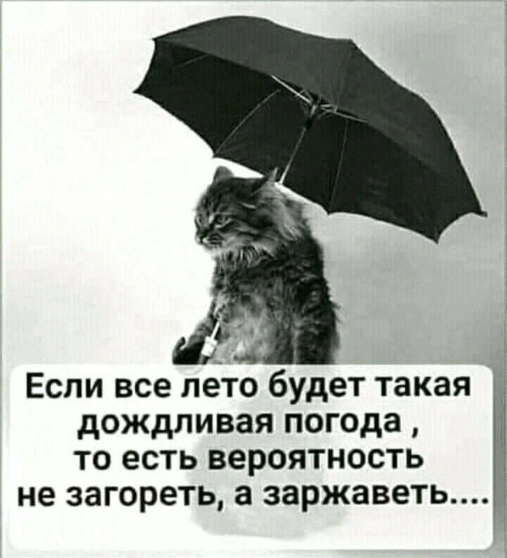 Прогноз погоды на неделю!!!

Дождь и дожди. Временами дождевой дождь и небольшие дожди внутри большо