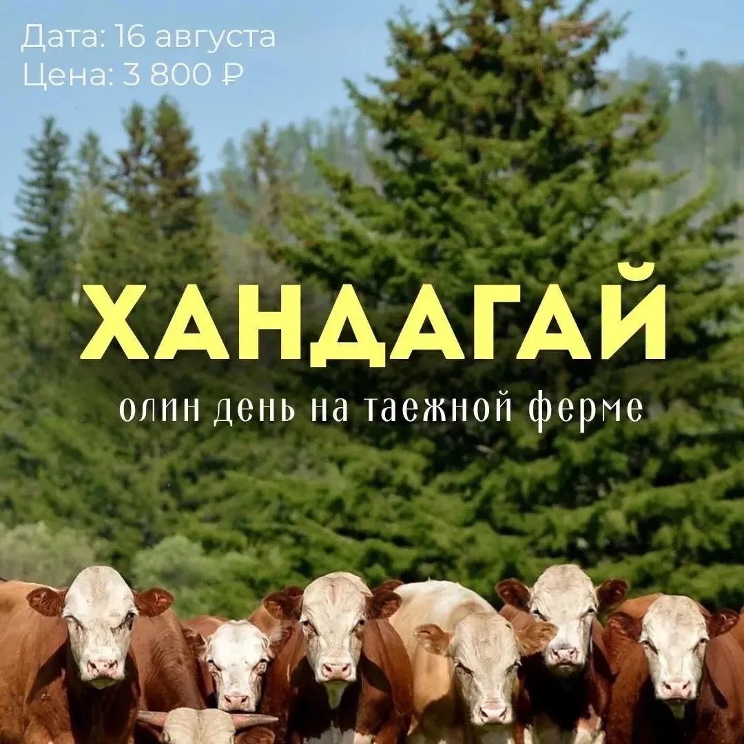 16 августа, воскресенье
Один день на таёжной ферме «Хандагай»

Уютная и дикая ферма на краю Осинског