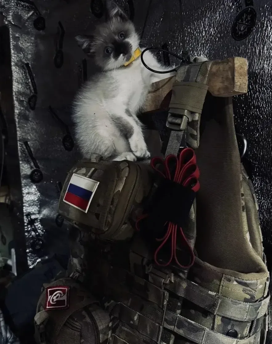 Доброе утро!