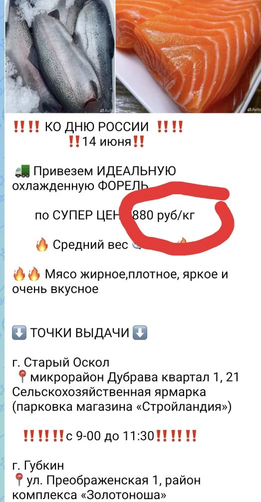 Акция актуальна?