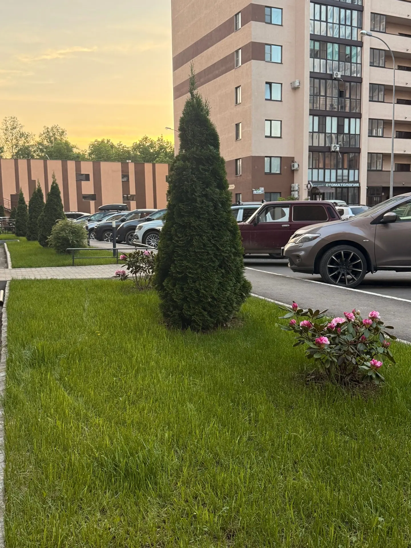 Хочется начать новую неделю цитатой известного поэта и писателя Александра Блока: «Май приходит с за