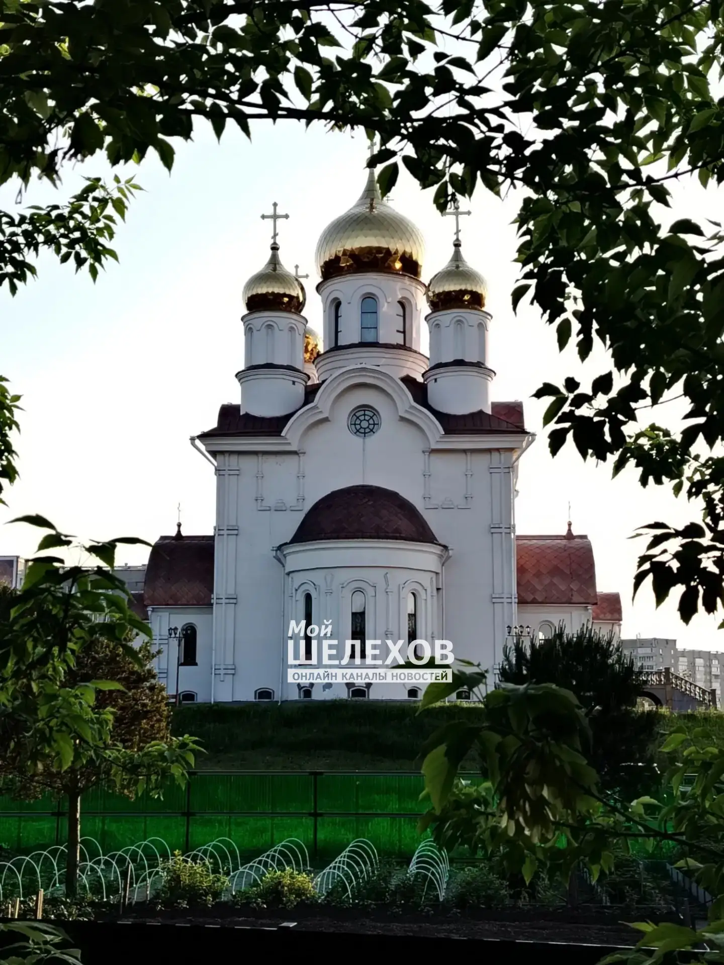 Вечерними прогулками по городу делится наш подписчик.
Похоже, это маленькая оранжерея появилась возл