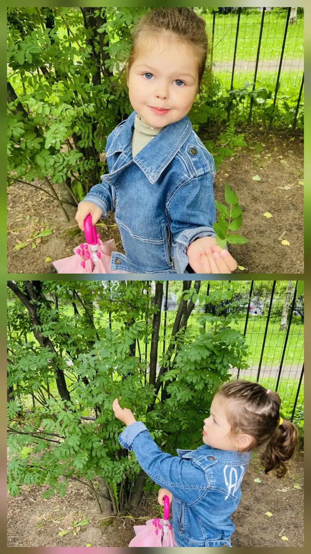 16 июня - день знакомства с растениями 💚🌺
В Детском саду 🏡, для дошкольников 👫— это отличный спо