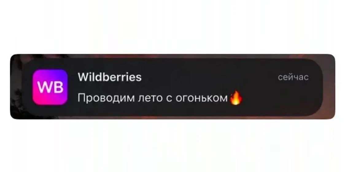 В пуш-уведомлениях WB неожиданно и невольно проявилась самоирония.

Подпишись на Чёрного Лебедя в MA