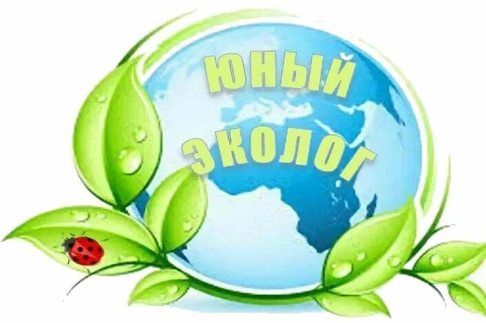 🌱 Экологический квест «Спасём лес от мусора» 🌱
Сегодня наши воспитанники стали настоящими защитник