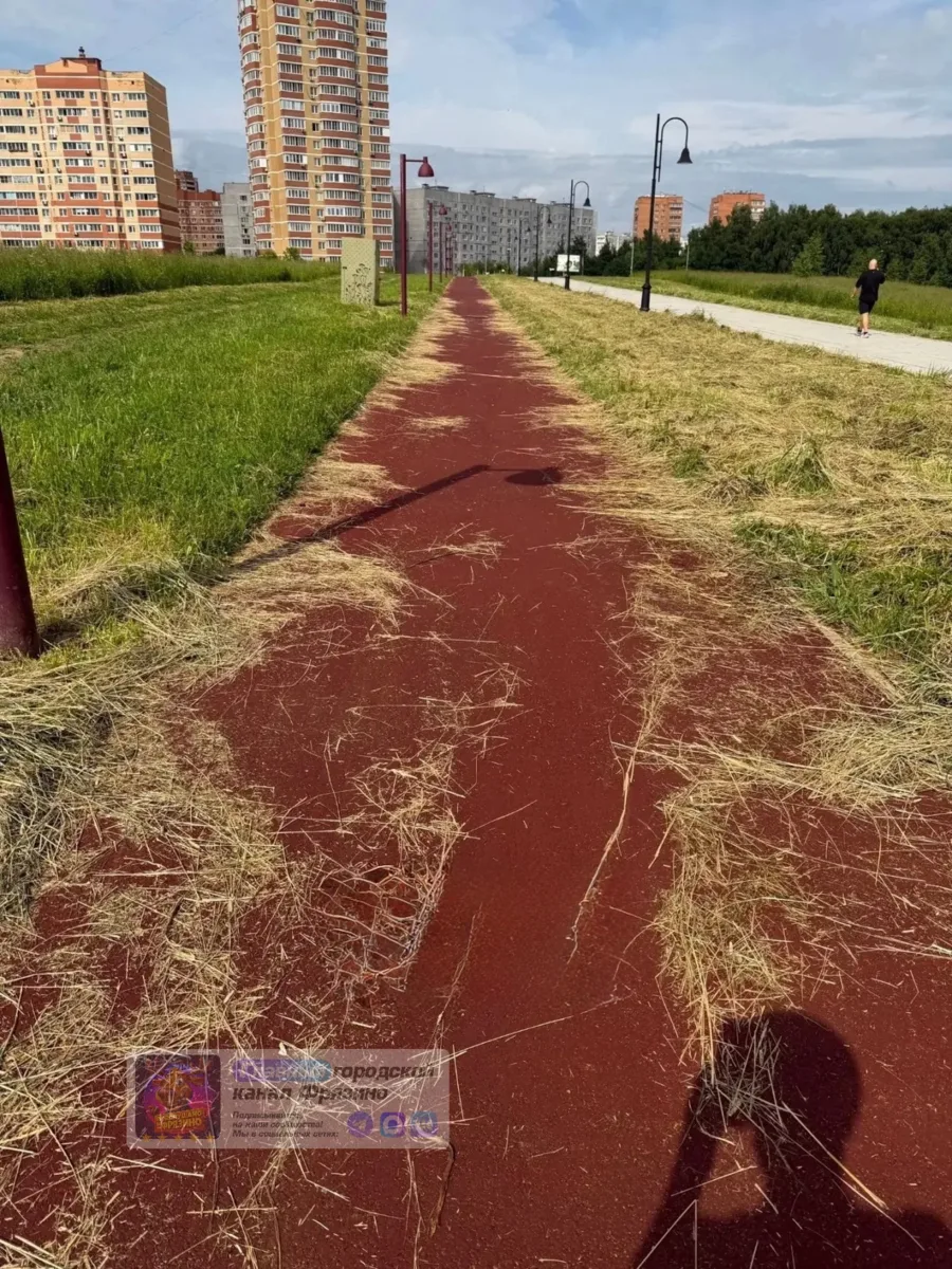📍 Траву на Барских прудах покосили, а убрать не убрали! 

Обращение от жителей: 

«Здравствуйте