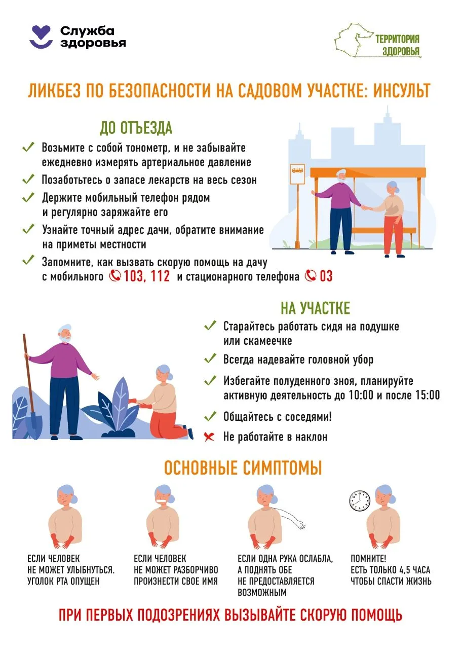 Дача без риска: как не пропустить инсульт

Друзья, дачные работы — это не спорт на выживание. Резкие
