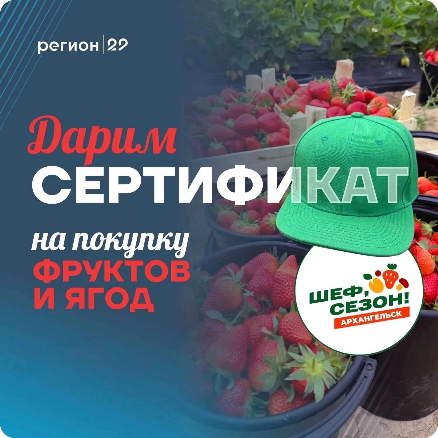 🎁 Розыгрыш сертификата на покупку фруктов и ягод

Лето в разгаре и «Регион 29» ПОДАРИТ сертификат н