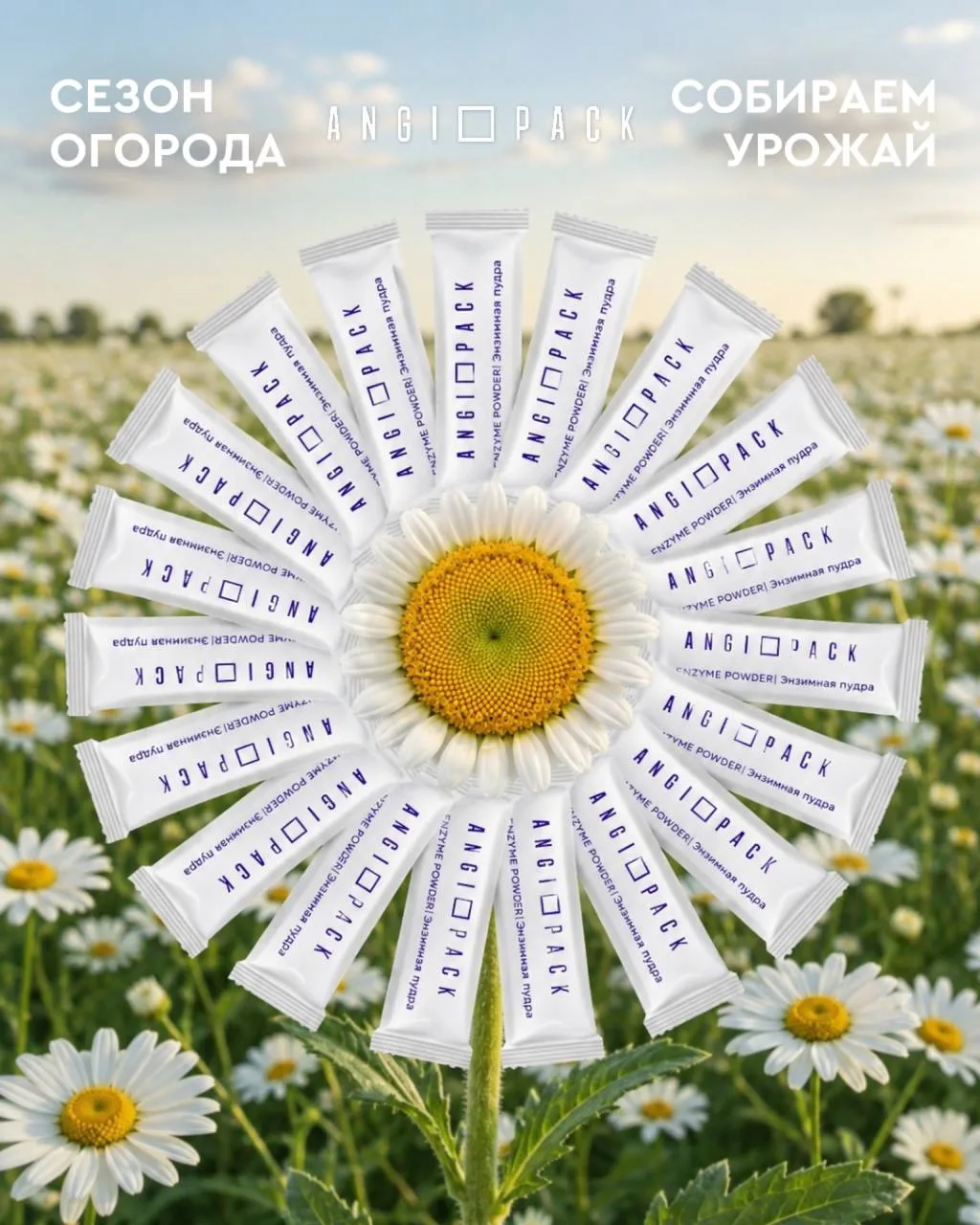 Лето наступило ☀️

А это значит, что совсем скоро начнётся сезон урожая🍓🫐🍑

Но к хорошему сезону 