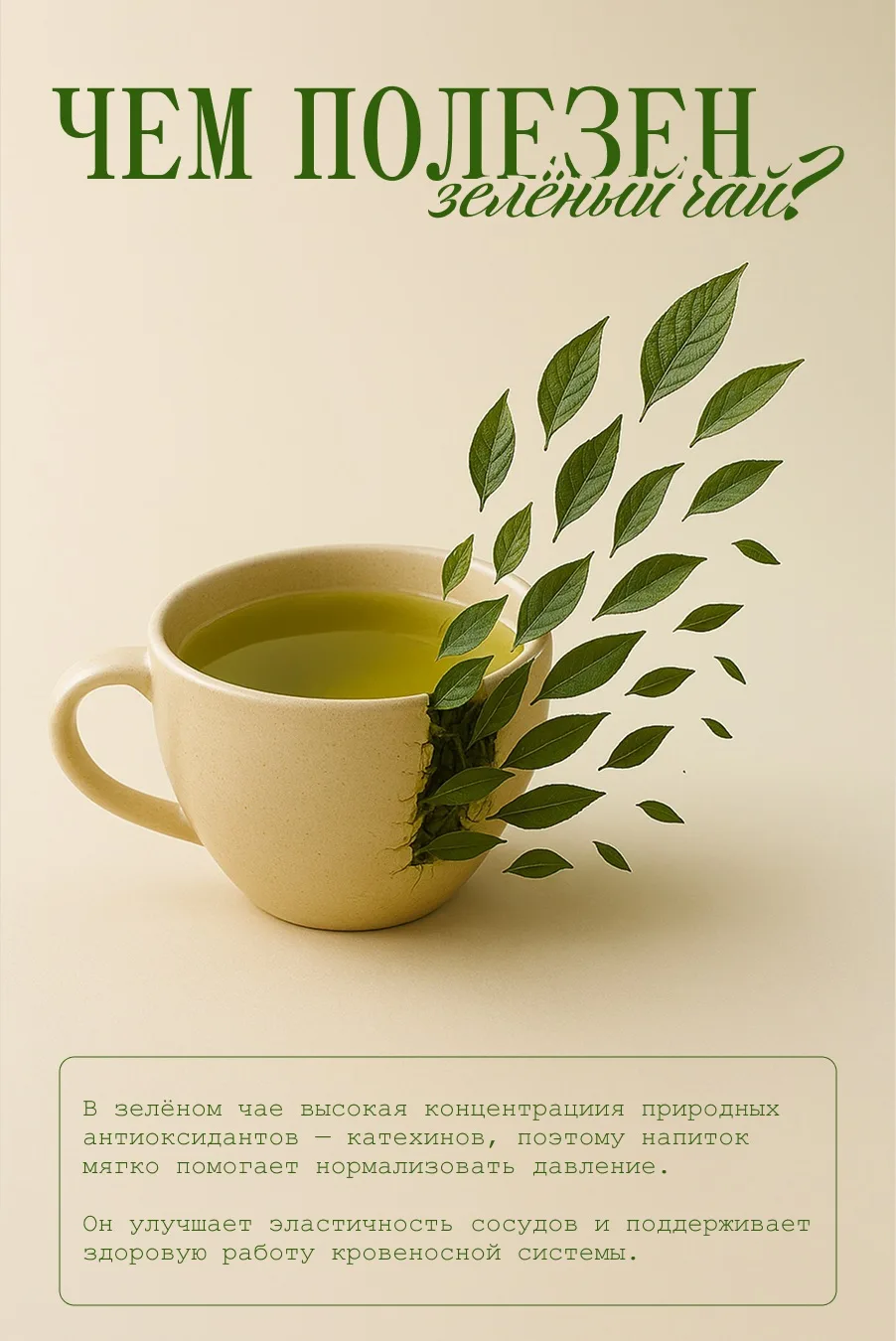 🌱 Зелёный чай — напиток для сердца и долголетия 

Включите 1–2 чашки качественного зеленого чая в с