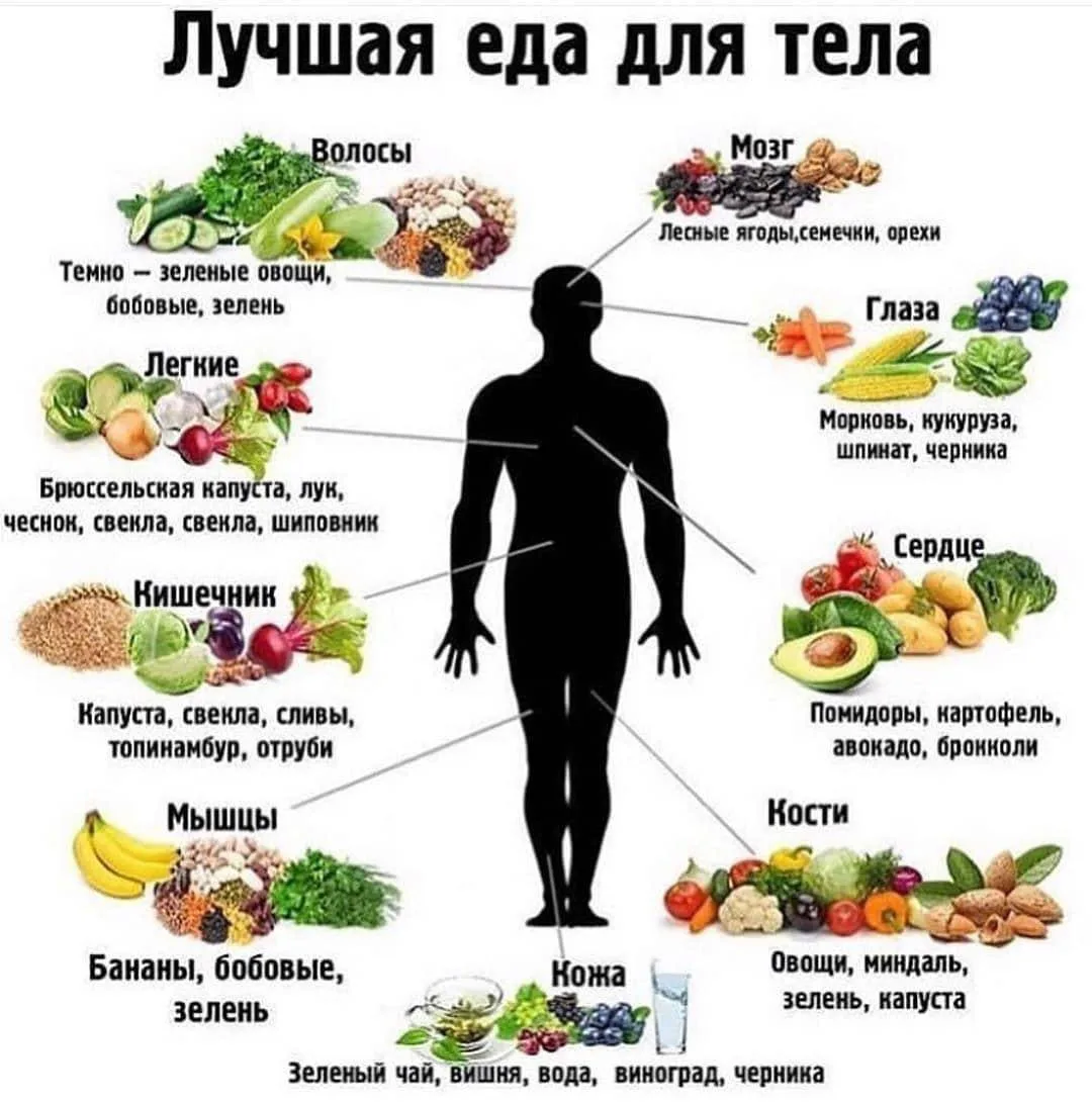 Эти продукты, можно есть на ночь и не поправляться🔻

🔸 Кисломолочные продукты. Кефир, обезжиренный