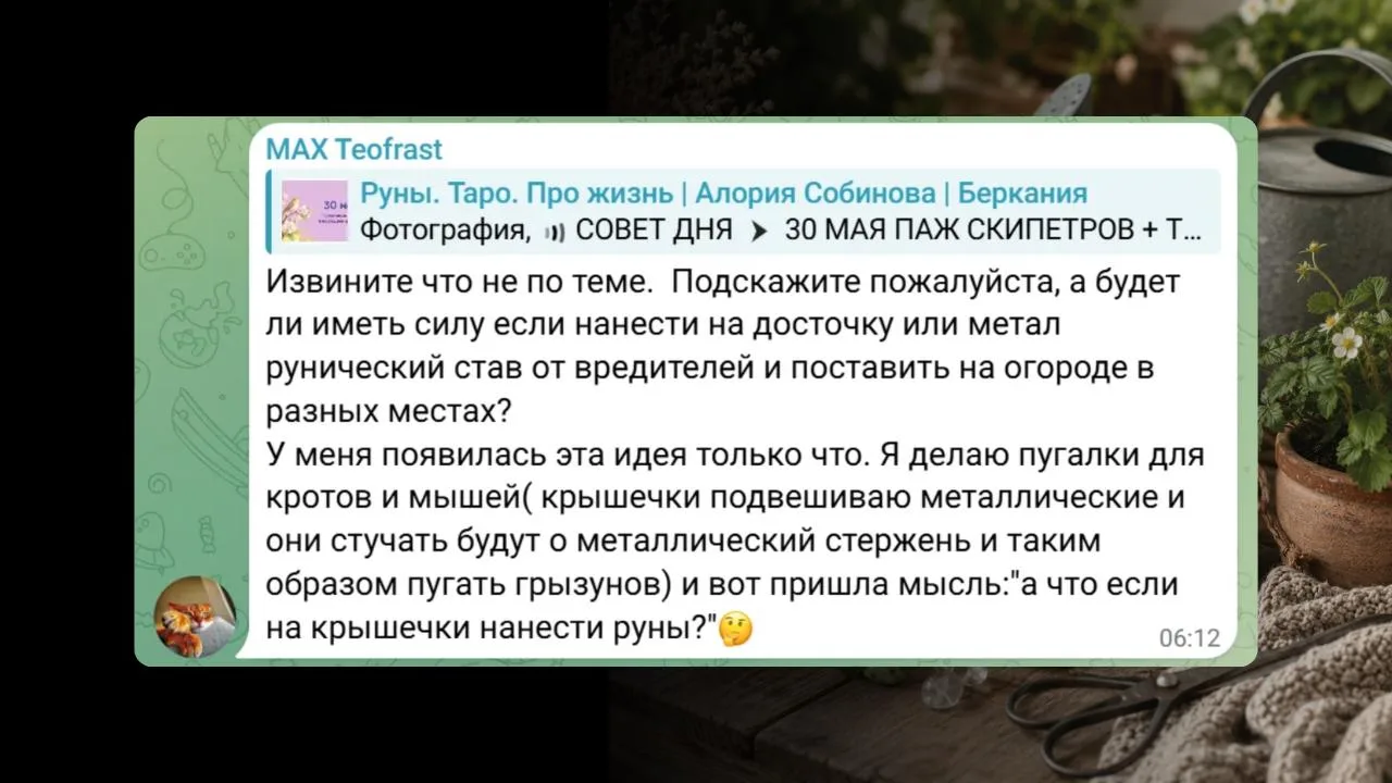 🪴РАБОТАЮТ ЛИ РУНЫ НА ГРЯДКАХ?
Да. Но есть один важный нюанс. 

На днях в комментарии прилетел прост