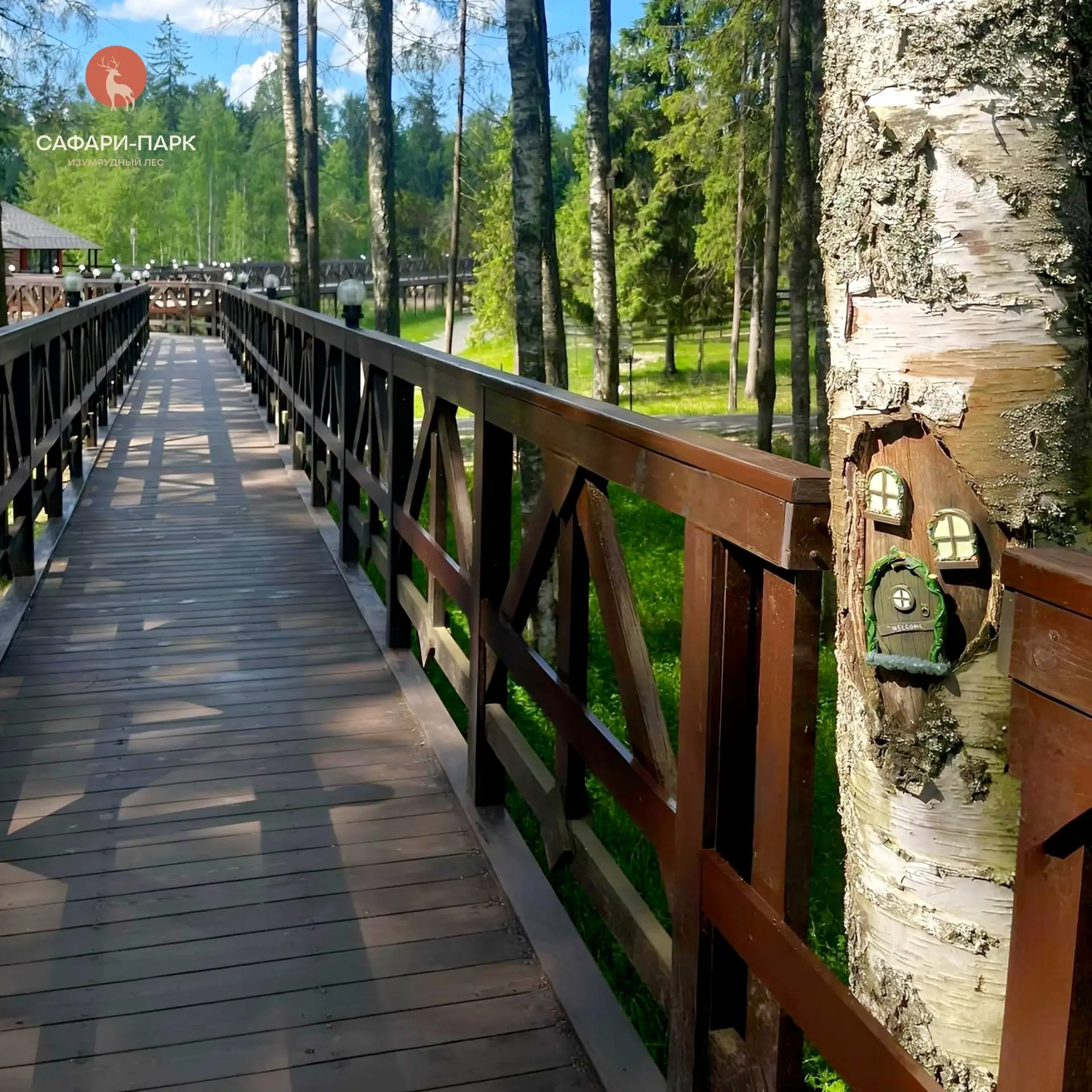 Магия в деталях ✨🌲

Гуляя по тропинкам нашего Сафари-парка, не забывайте смотреть не только на вели