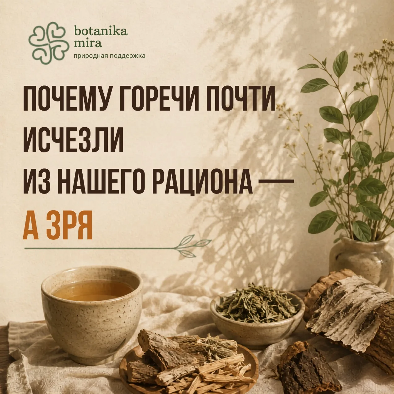 Почему горечи почти исчезли из нашего рациона — и зря

Если посмотреть на питание наших бабушек и пр