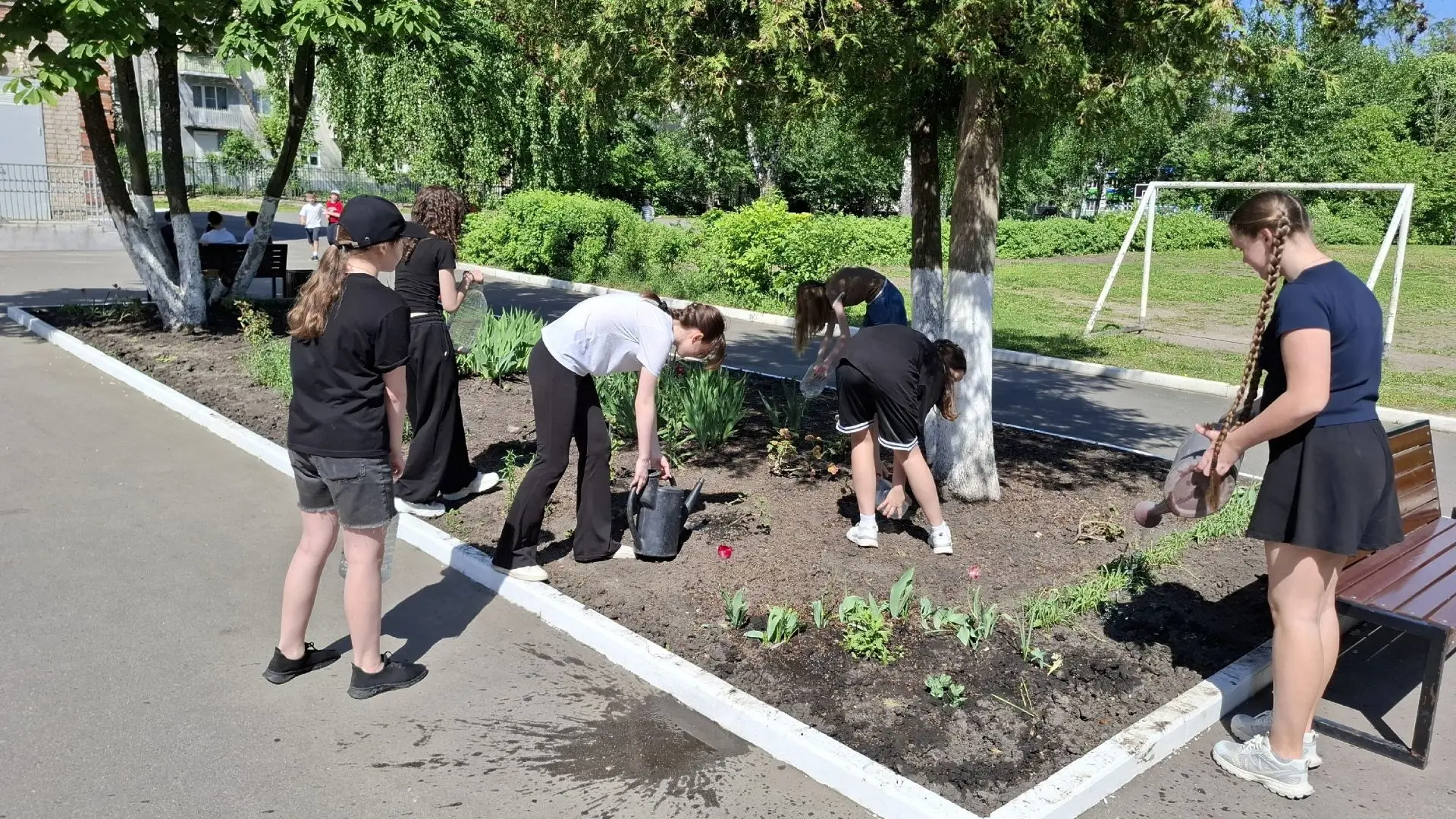 5 июня - День эколога
Ко Дню эколога на пришкольном участке гимназии прошла экологическая акция: реб