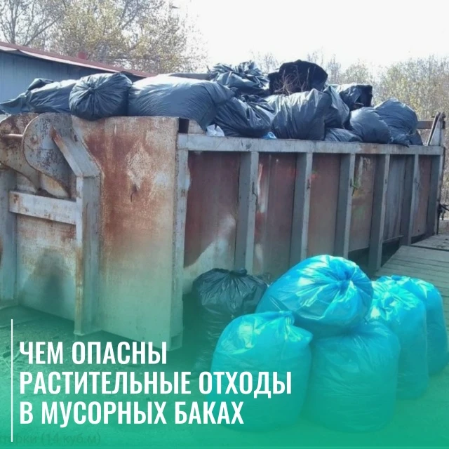 Растительные отходы на площадке – к чему это может привести?

Весной мы часто наблюдаем картину – го