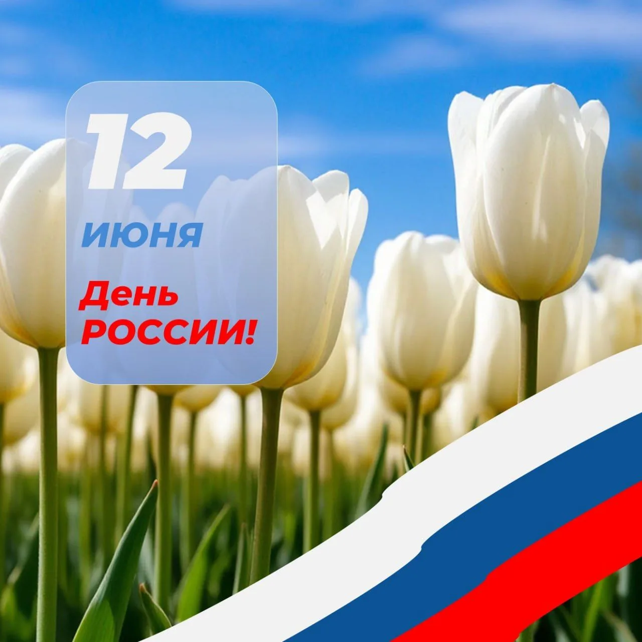 🇷🇺 С Днём России, дорогие предприниматели!

Сегодня праздник всей нашей большой страны, в которой 