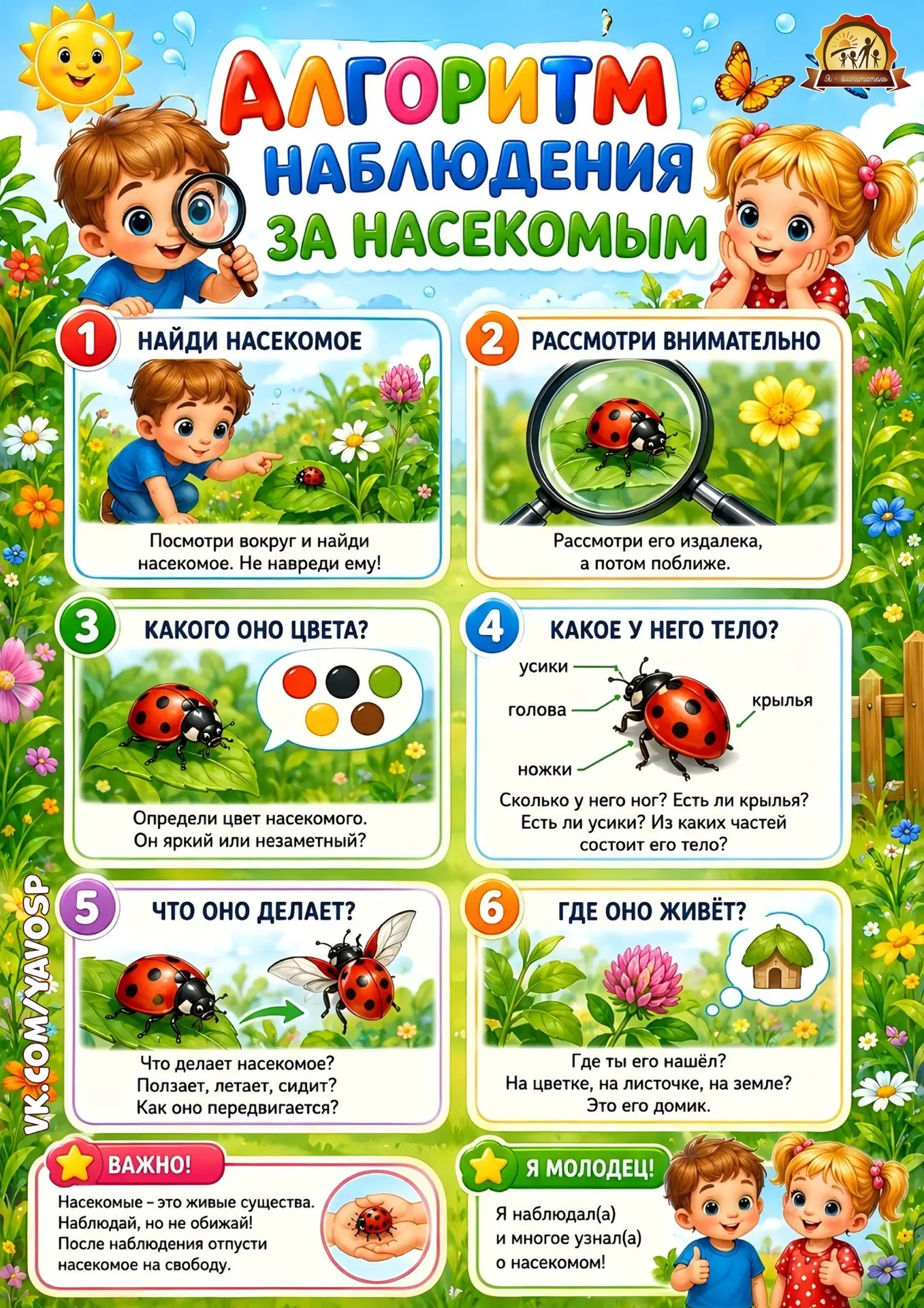 🔍 Маленькие соседи по планете. Прогулки в детском саду и даже обычная дорога домой — это время удив