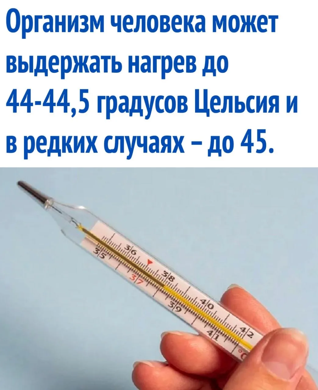 интересные факты / тайны / загадки / наука

https://max.ru/interesnie_fakti1