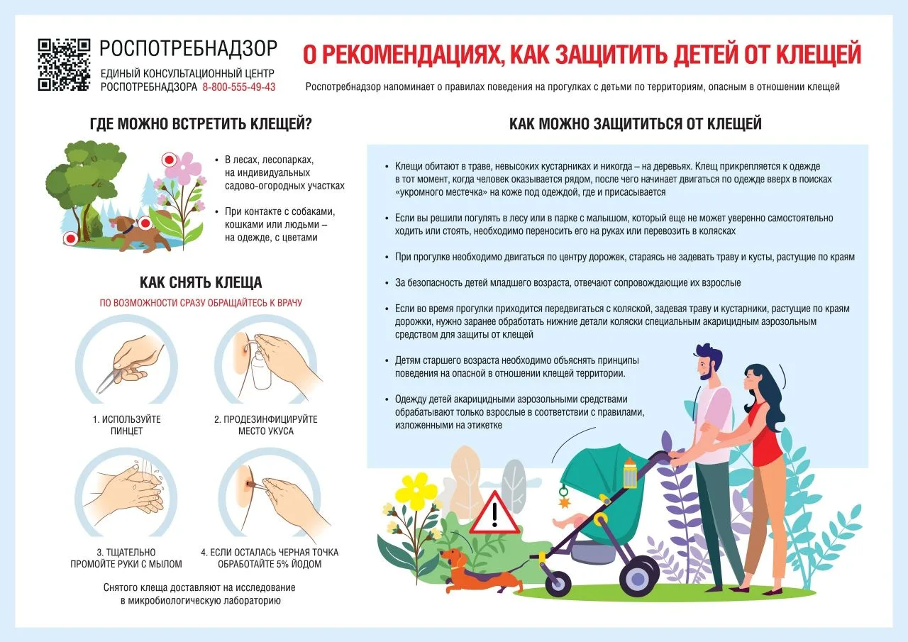ОСТОРОЖНО, КЛЕЩИ!!!