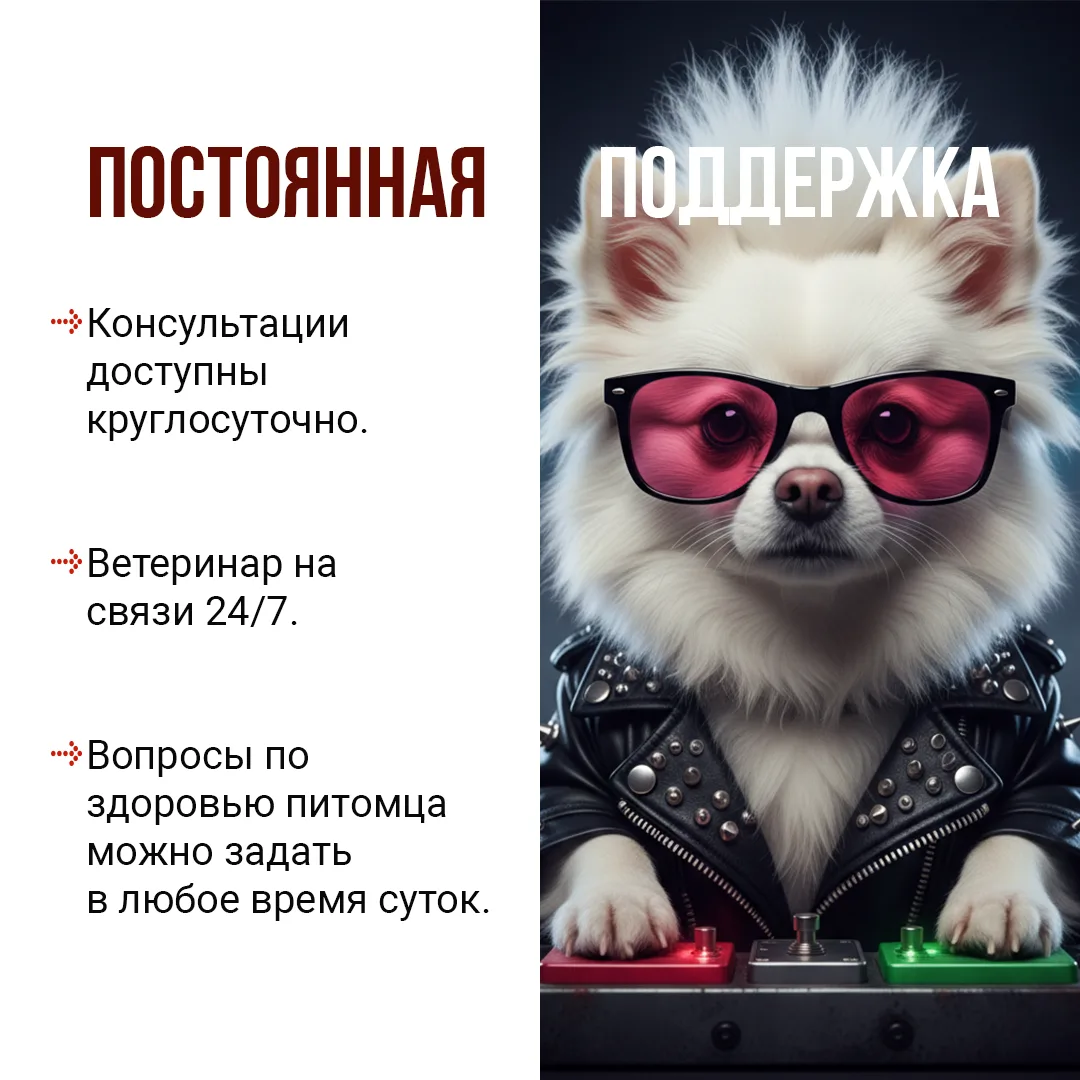 6 причин задуматься о полисе для своего питомца!
Полис «РЕСО-Вет» — это надежный способ позаботиться