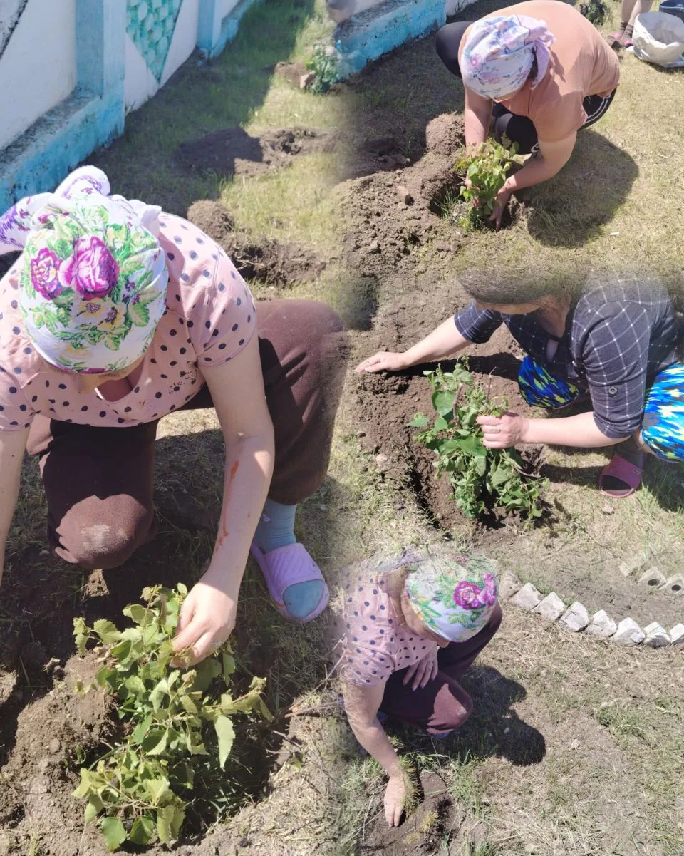 🌳 Сад памяти-2026

🌿 Коллектив детского сада "Теремок", присоединился к акции «Живая память» – выс