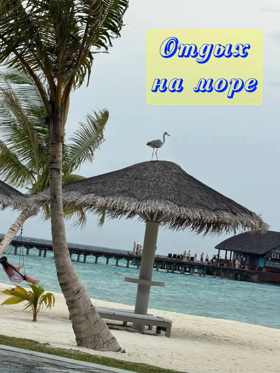 🌊 Красное. Средиземное. Южно-Китайское. Чёрное. Какое море выбираете вы?
🏖️✈️ Прямой вылет из Моск