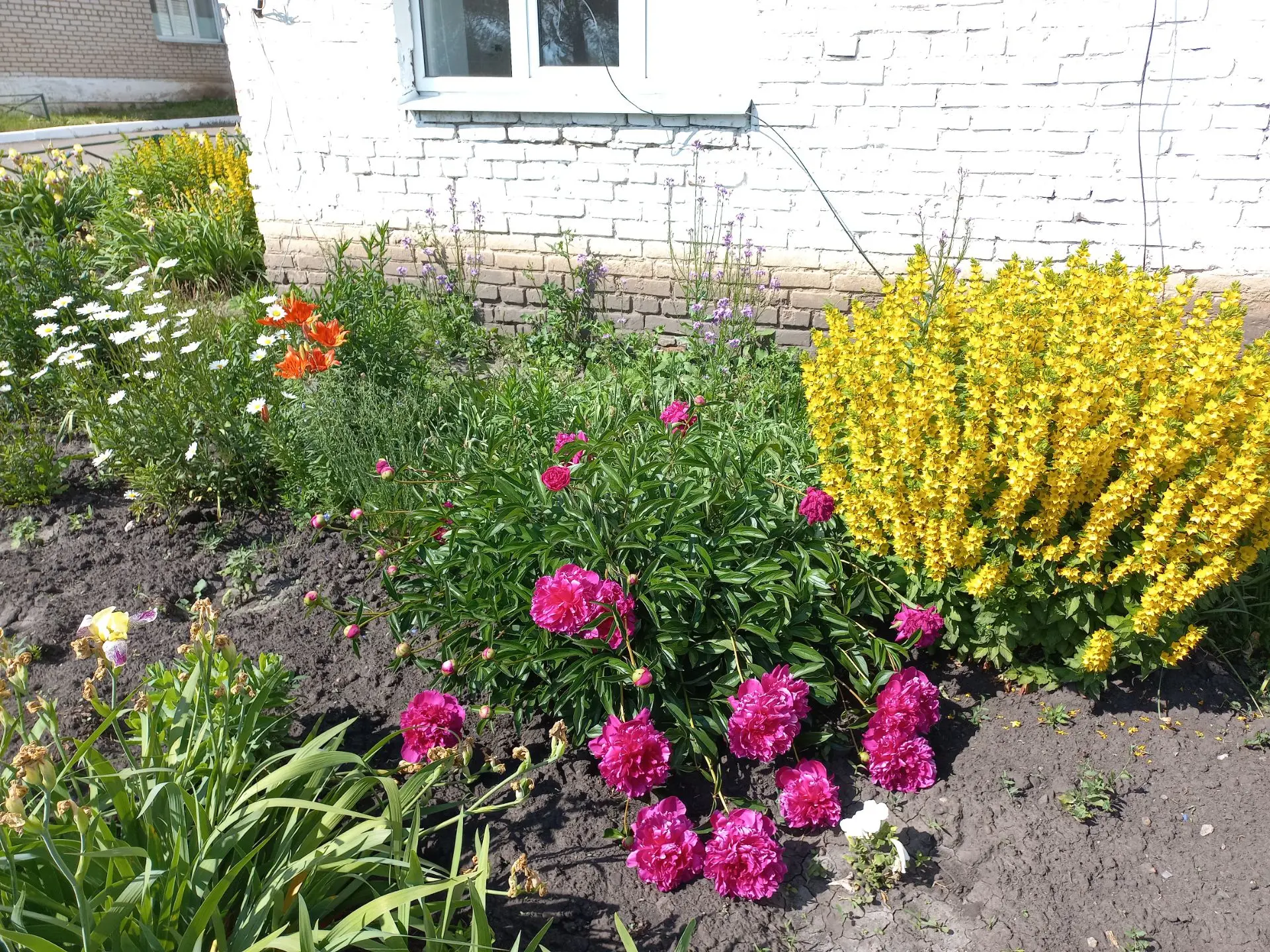 Доброе утро! ☀
Крепкого здоровья, душевного равновесия и энергии для всех свершений! Помните, что са