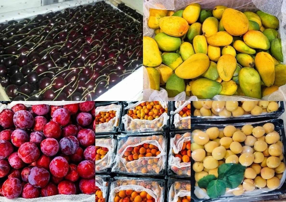 🍒🥭 СЕЗОННЫЙ ПРИВОЗ ФРУКТОВ И ЯГОД 🥭🍒

Прямые поставки из Киргизии и Узбекистана
Только свежий сб