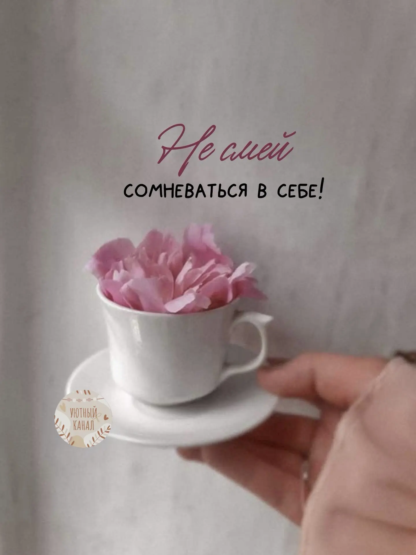 🌿Вам #УтреннееПослание 

Мы уже столько раз справлялись.
И сегодня справимся тоже 🤍

🕊️С пятницей
